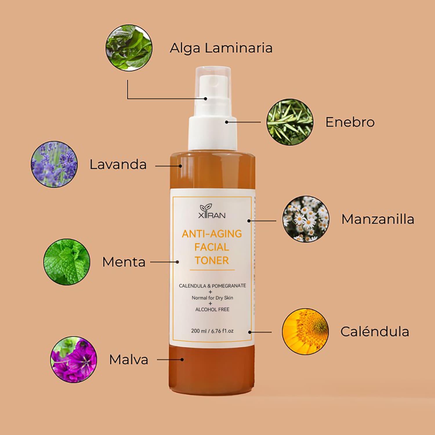 Calendula Facial Toner key ingredients